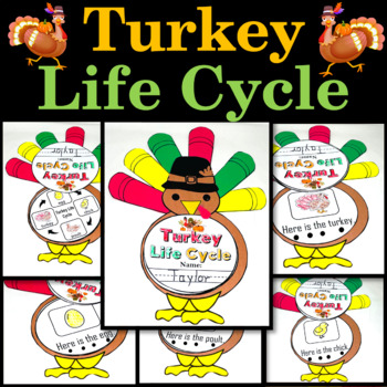 Turkey Life Cycle, Turkey Craft & Turkey Emergent Reader for Thanksgiving