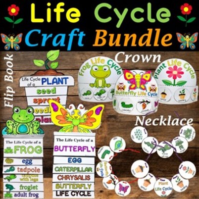 plant life cycle for preschool