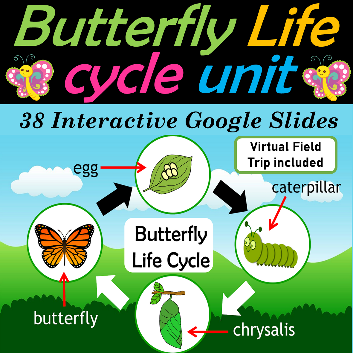 Butterfly Life Cycle | Virtual field trip to Butterfly conservatory | Digital- 35 Google Slides