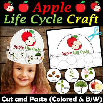 Life Cycle of an Apple Hat Crown Craft, Lifecycle Sequencing Activity