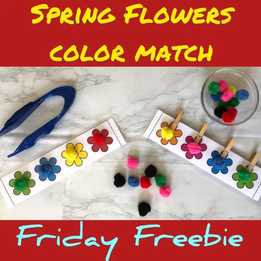 Spring Flower Color Match Pom Pom Activity Printable