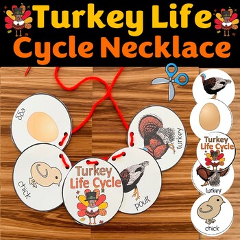 Turkey Life cycle Necklace Craft, Lifecycle Sequencing Activity, Thanksgiving