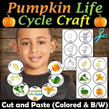 Life Cycle of a Pumpkin Necklace Craft, Lifecycle Sequencing Activity