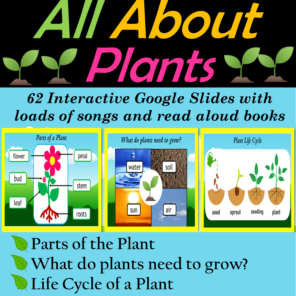 Digital All About Plants, Plant Life Cycle, Parts of a Plant- 62 Google Slides