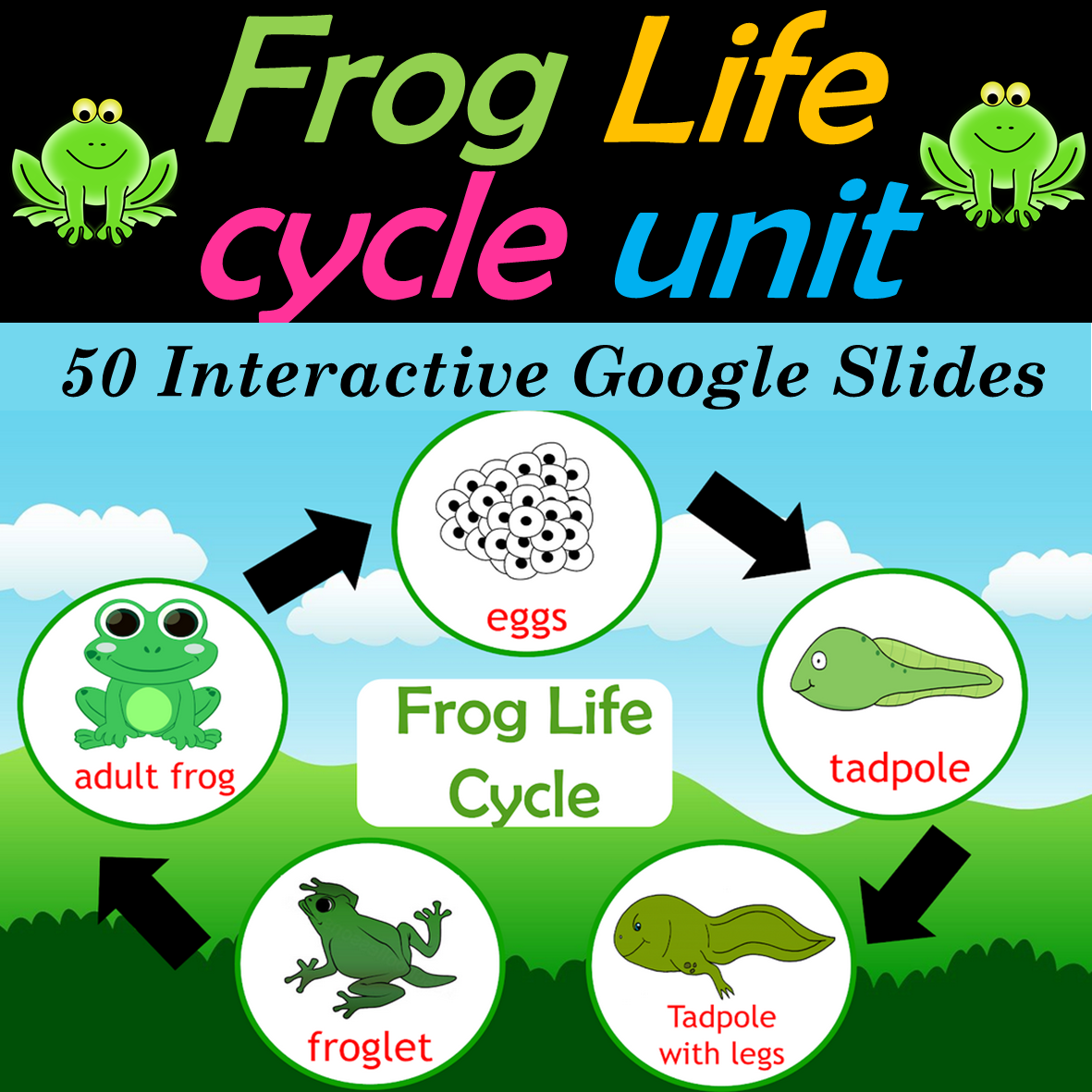 Frog Life Cycle and Digital Frog Literacy and Math Activities | 50 Google Slides